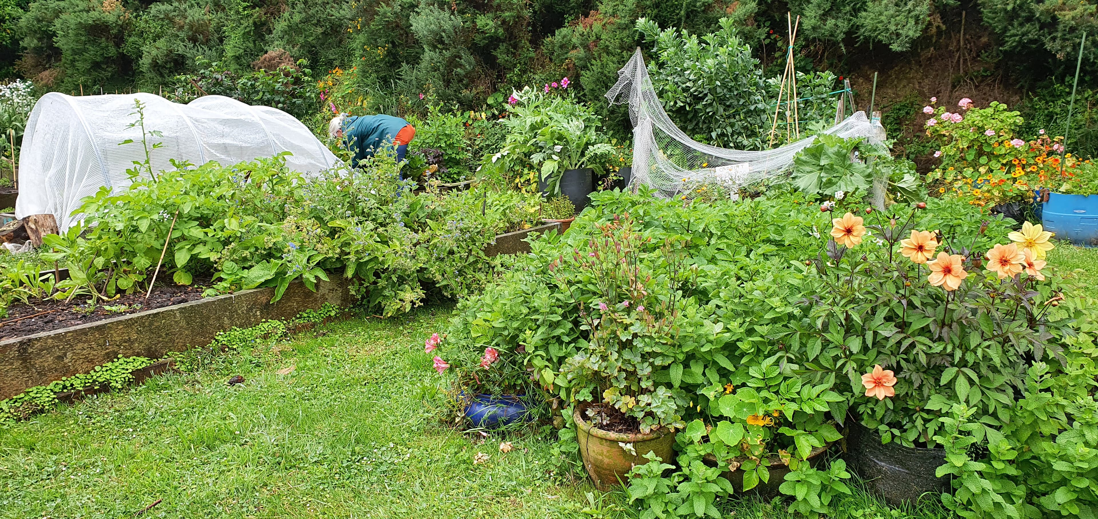 Chris Montgomery working in a vegetable bed at Innermost Gardens.