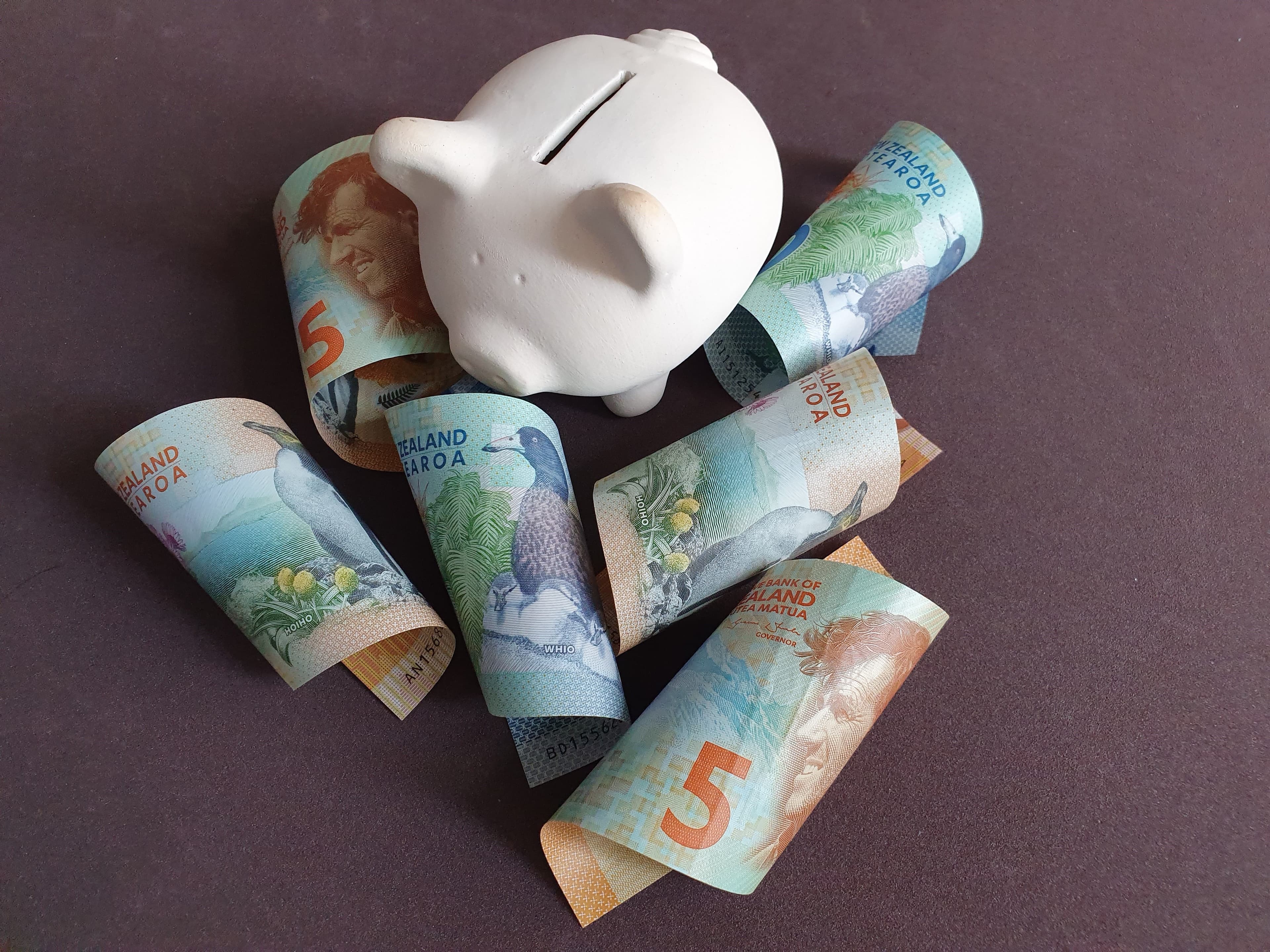white piggy bank and New Zealand banknotes of different denominations