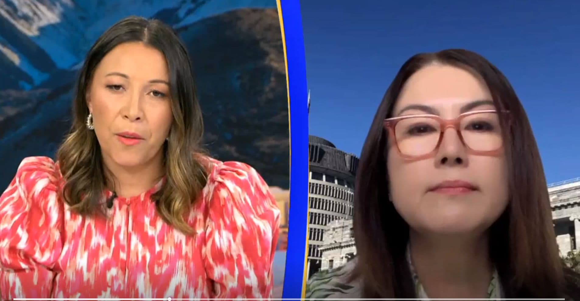 Newshub's Melissa Chan-Green grills media minister Melissa Lee on the AM show on her plans to respond to the crisis prompting the closure of Newshub and cuts to news at TVNZ.