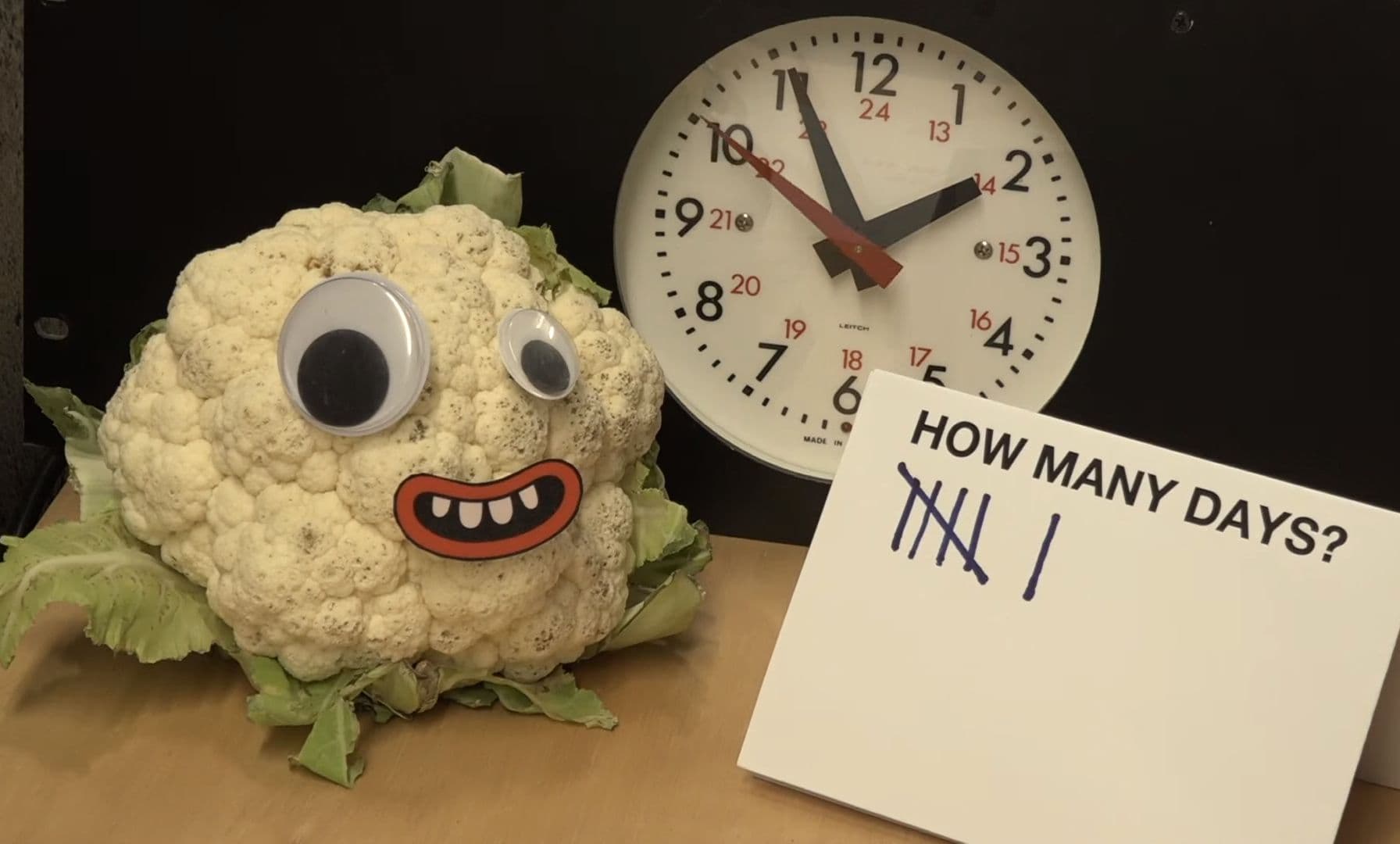 Newshub's running a livestream of a cauliflower to see it it can outlast the coalition talks.