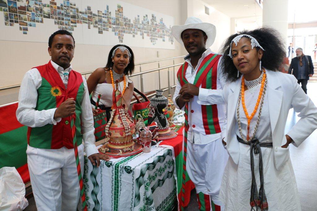 Africa Day celebrations in Wellington 2017.