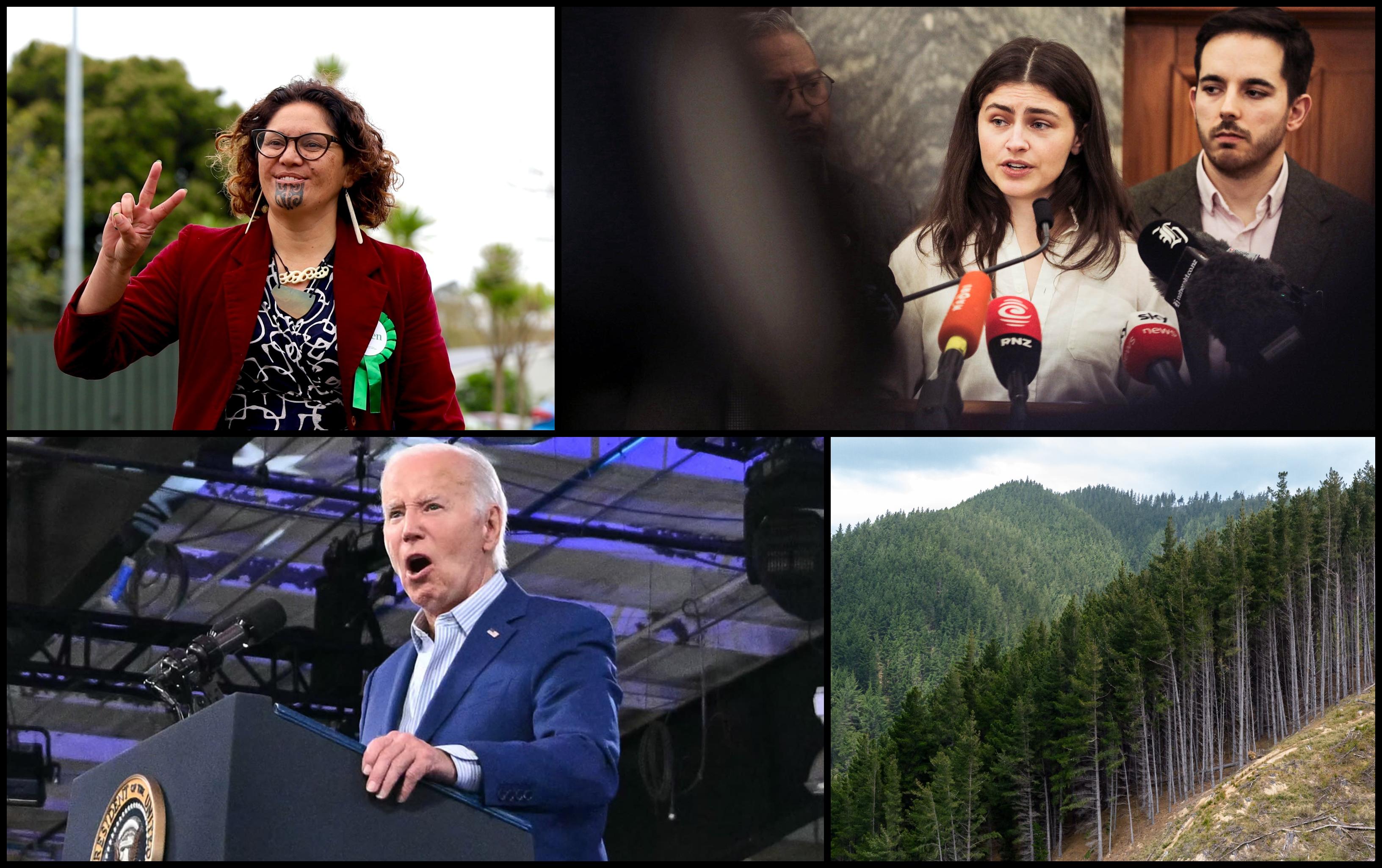 Composite images of Darleen Tana, Chloe Swarbrick, Joe Biden, pine forest.