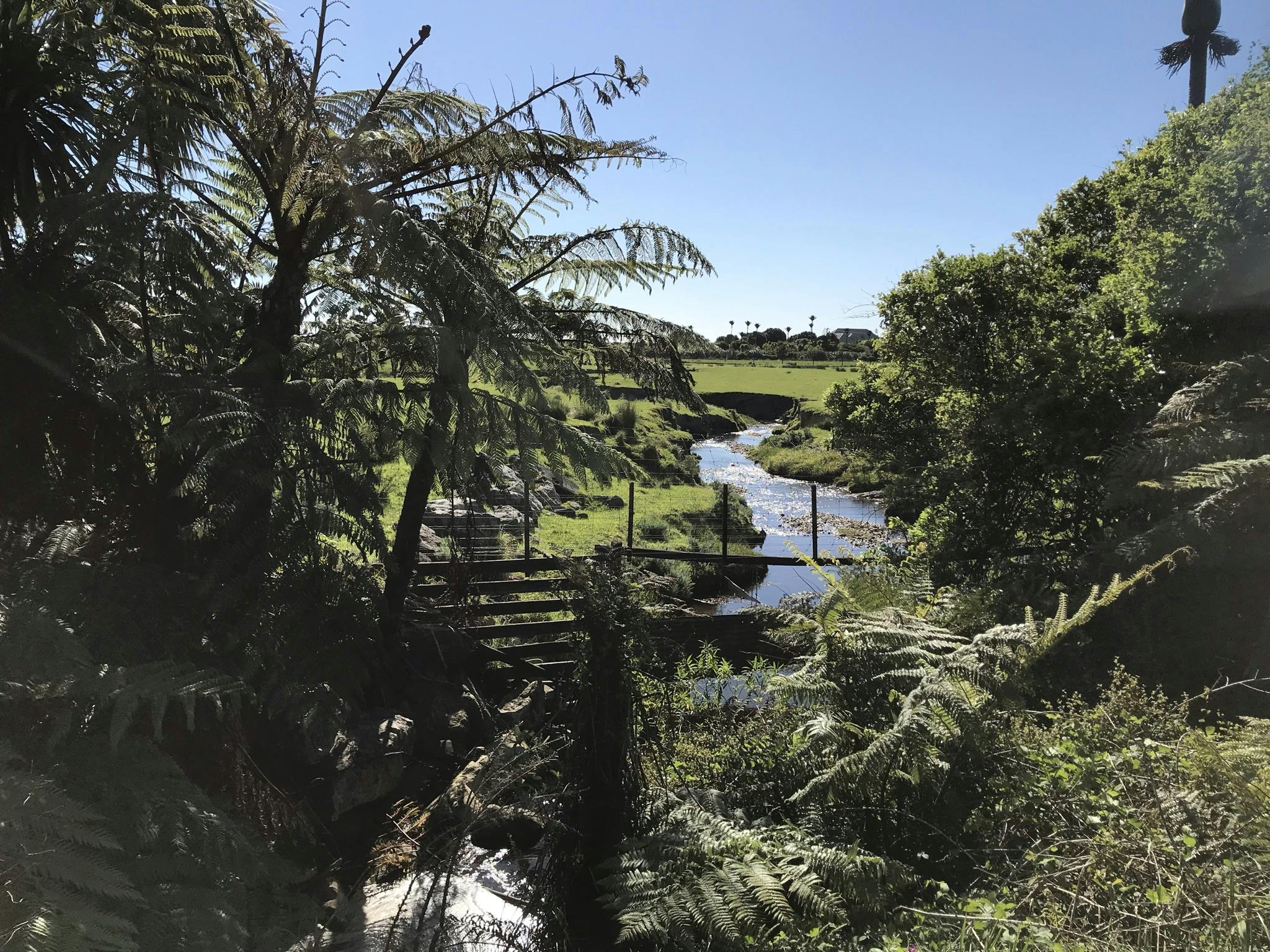 Stephanie is assessing culverts and streams along the South Island's West Coast as part of her research.