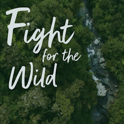 An aerial view of a dense, green forest with a stream running through it. The title "Fight for the wild" is written in large, white, hand-lettered script across the top left.