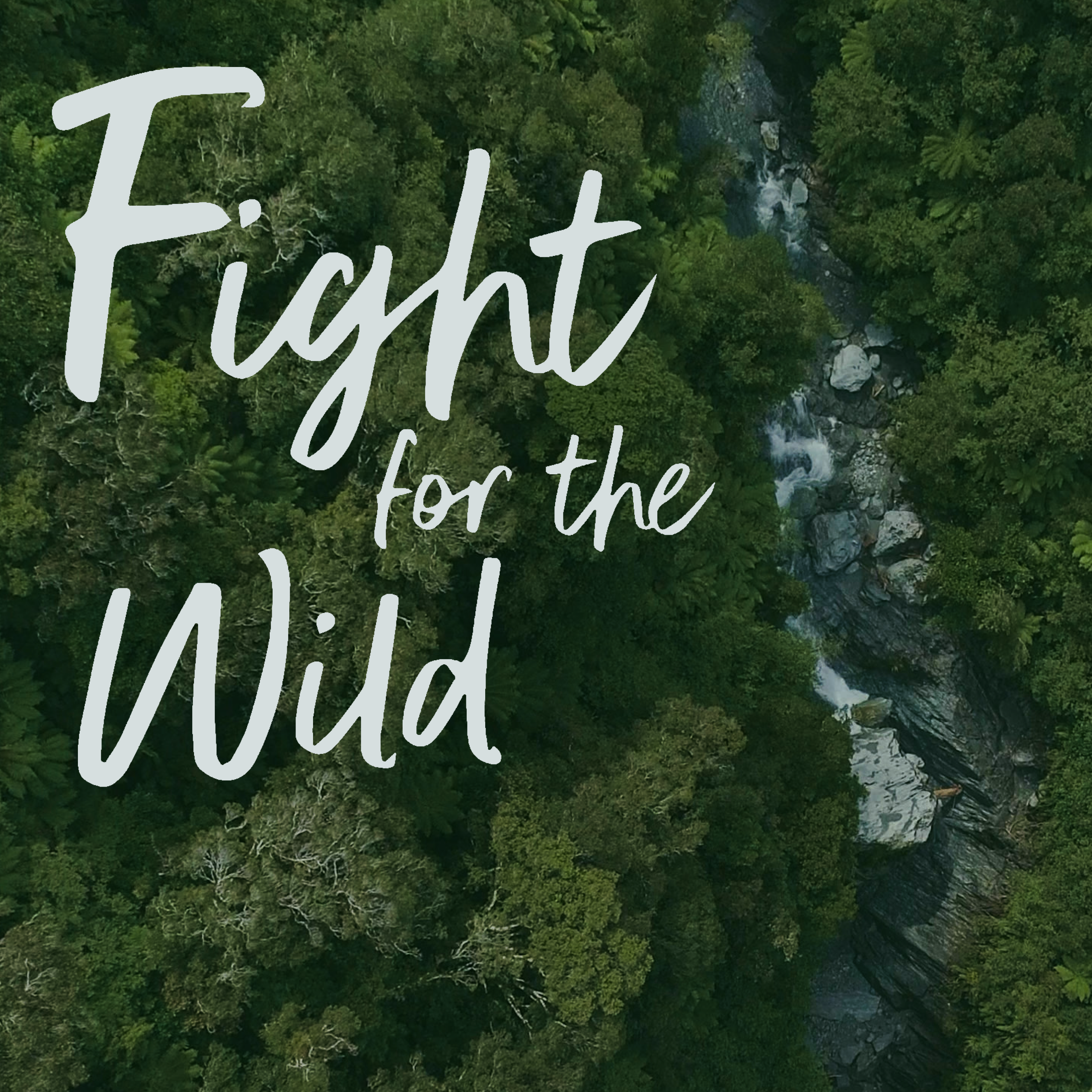 An aerial view of a dense, green forest with a stream running through it. The title "Fight for the wild" is written in large, white, hand-lettered script across the top left.