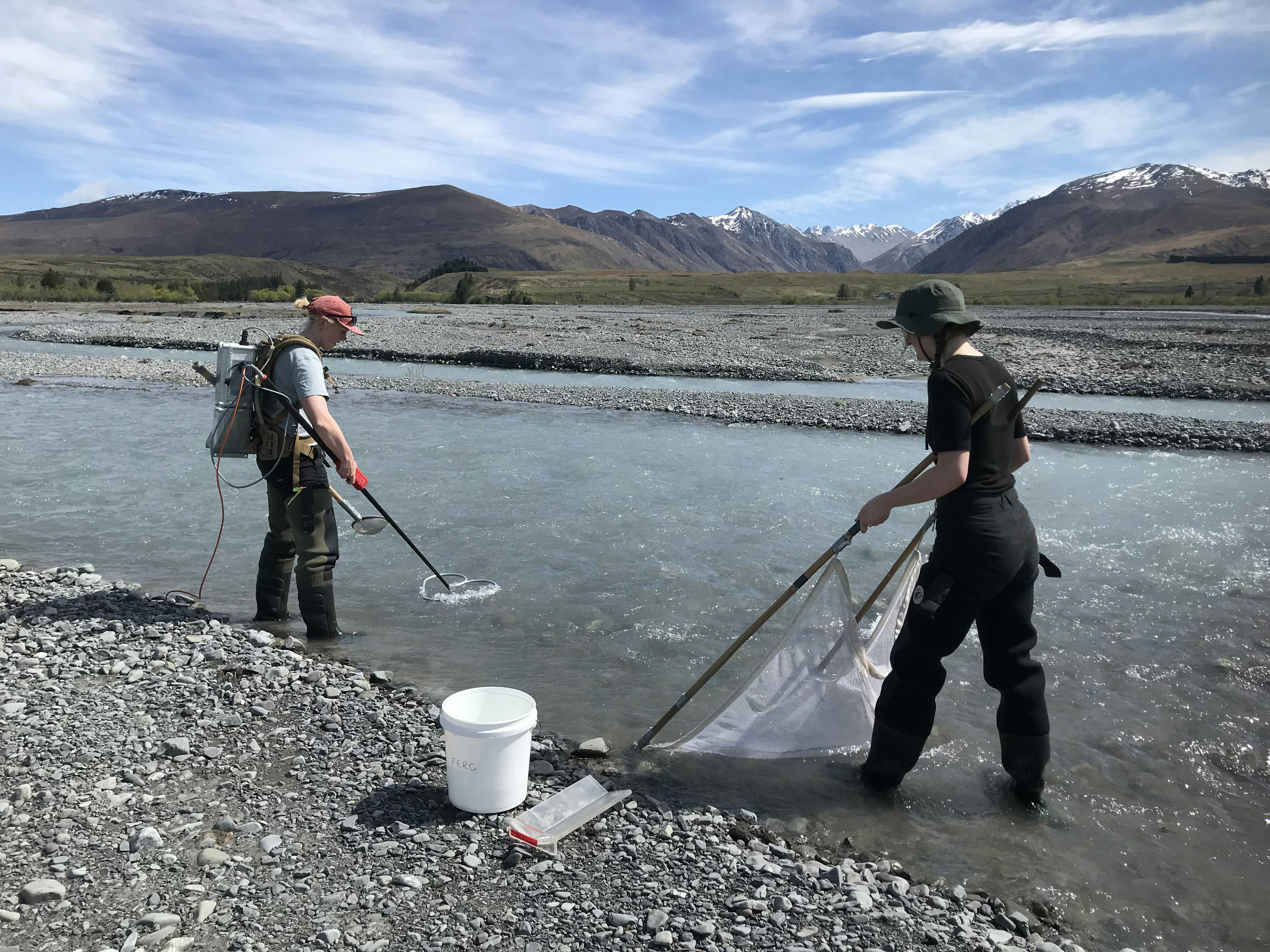 Two women stand in the shallows of a braided river channel. One is holding a device that looks like a handheld metal detector. The other is standing downstream wielding a net attached to two poles. There is a bucket next to the second woman. Beyond the riverbed, there are foothills and snow-capped mountains beneath a cloud-streaked blue sky.