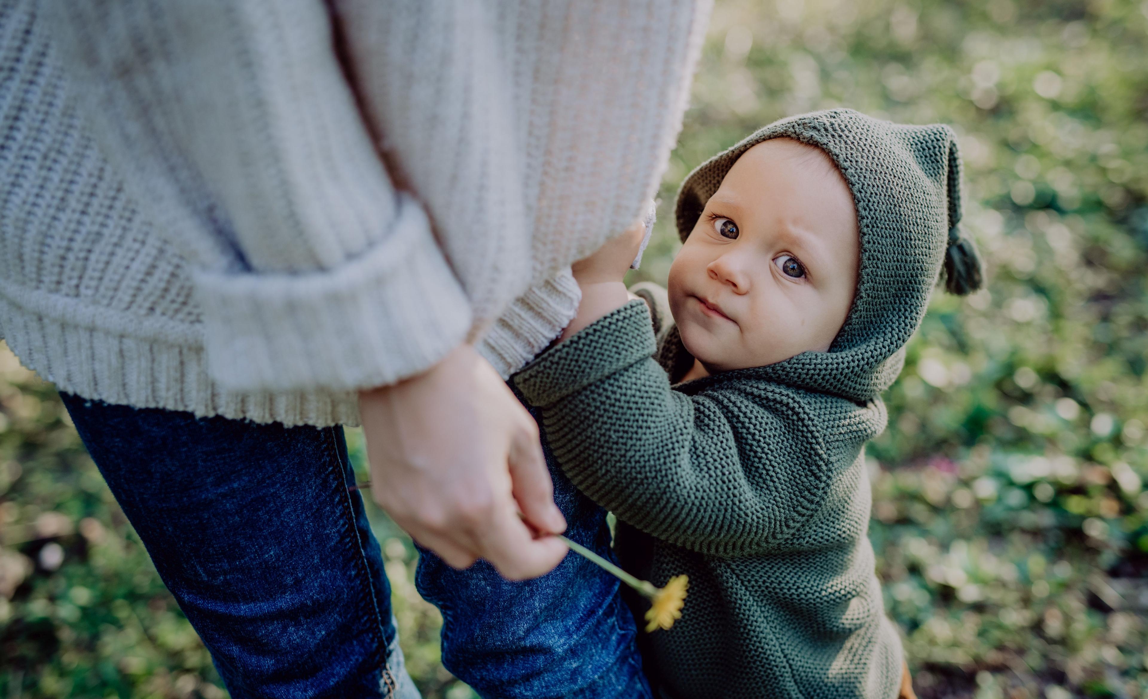 A mother holding hands of her baby son when walking in nature, baby's first steps concept.