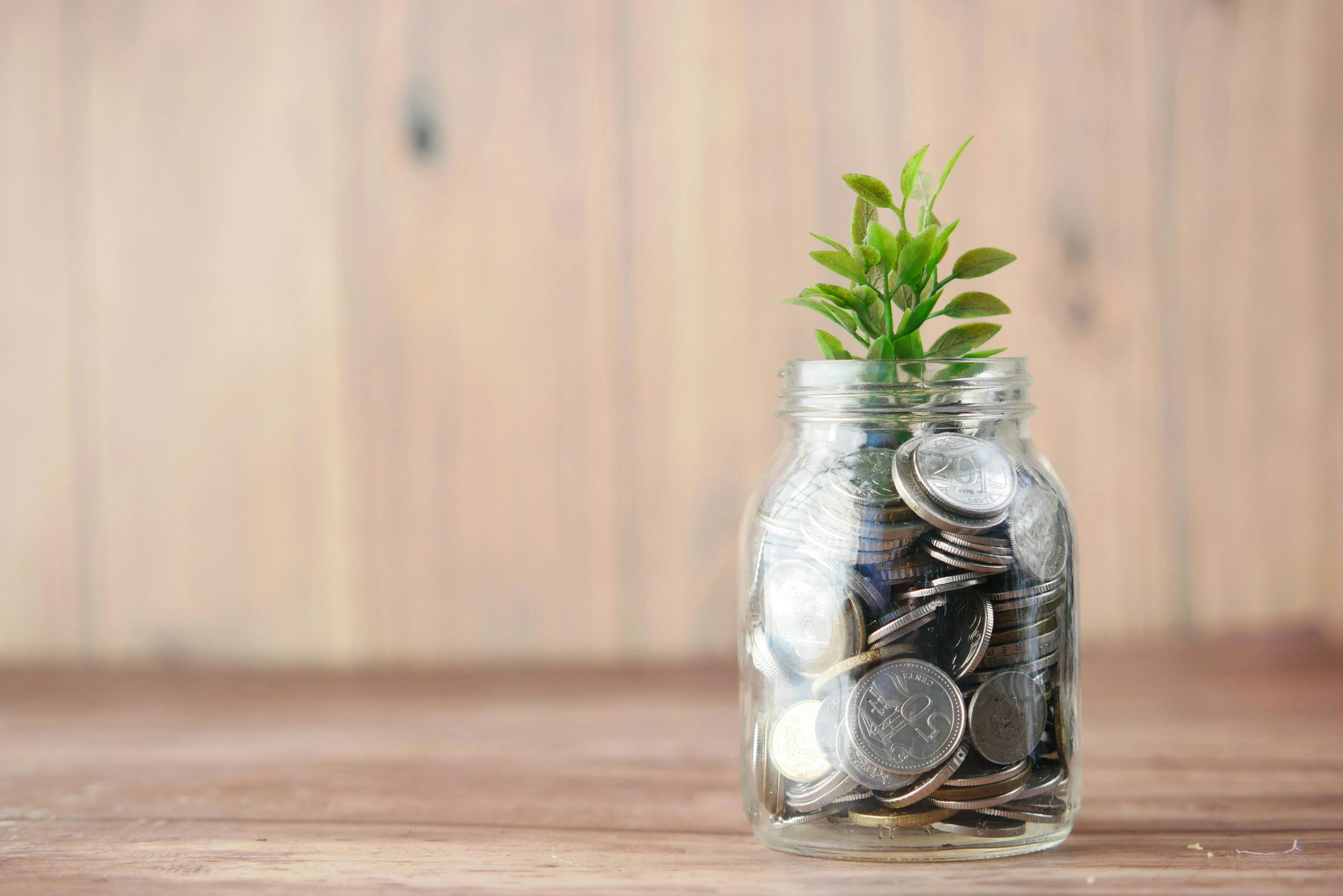 a jar of coins with a plant growing in it