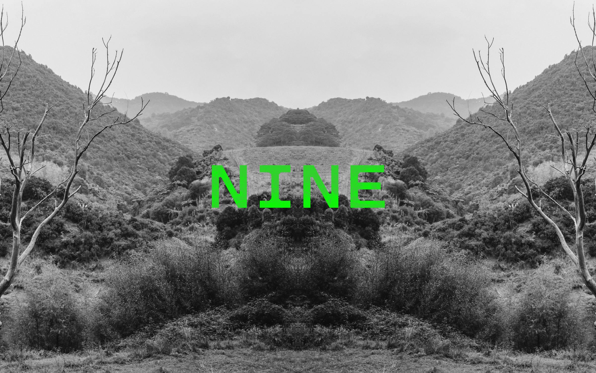 Podcast episode image for the 'Mr Lyttle Meets Mr Big' podcast. A moody black and white photograph of a country valley is mirrored vertically creating a Rorschach like effect with the episode number 'NINE' overlaid in vibrant green.