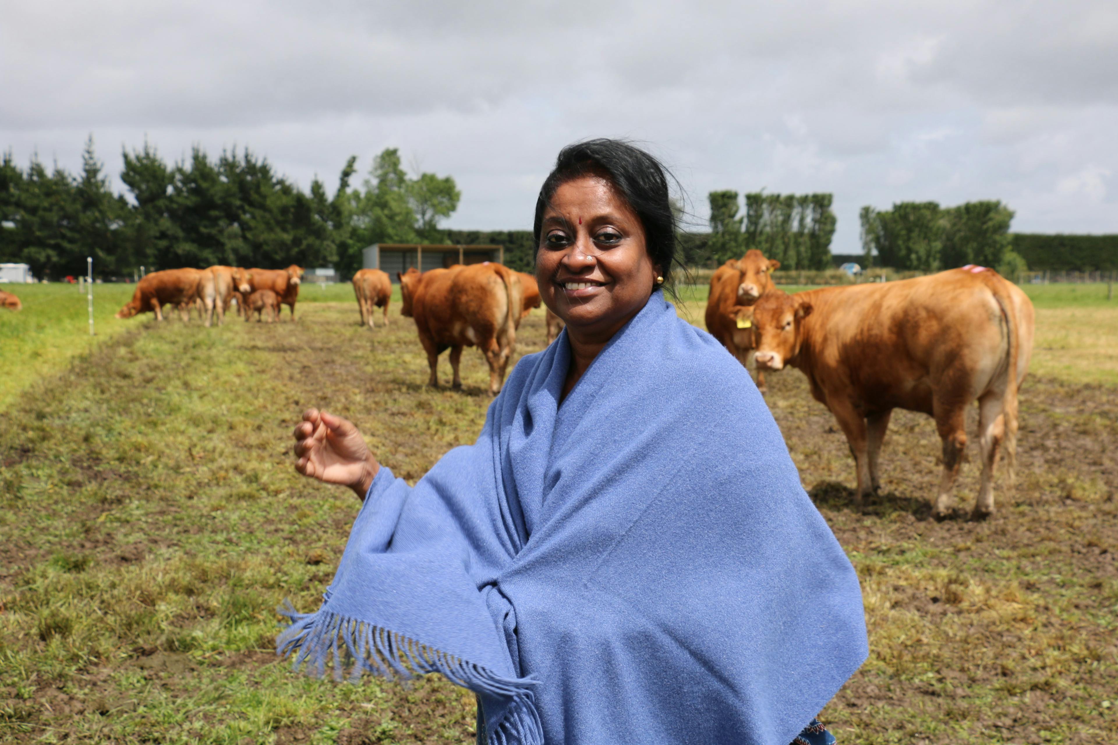 Dairy programme in Sri Lanka