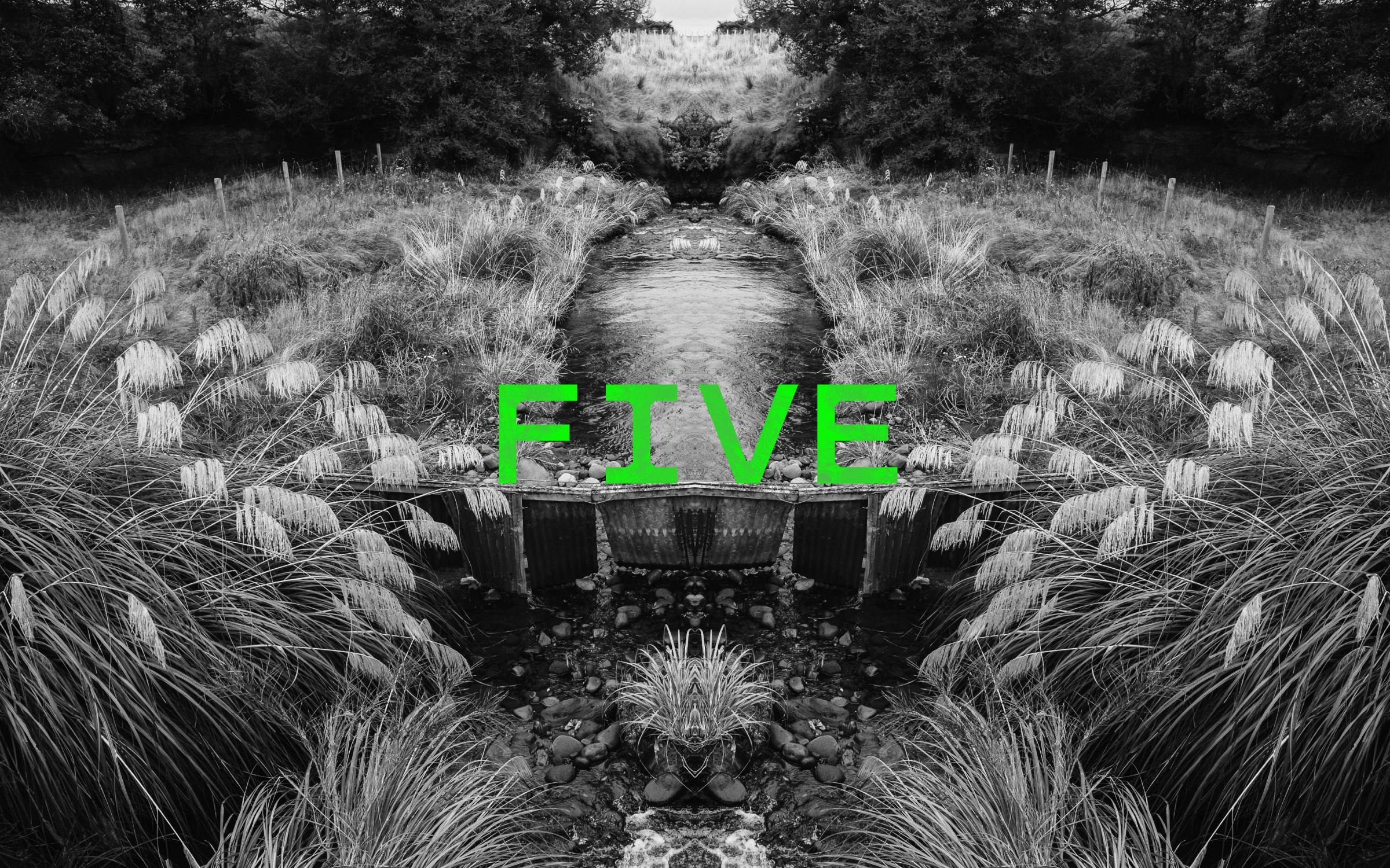 Podcast episode image for the 'Mr Lyttle Meets Mr Big' podcast. A moody black and white photograph of a country stream is mirrored vertically creating a Rorschach like effect with the episode number 'FIVE' overlaid in vibrant green.