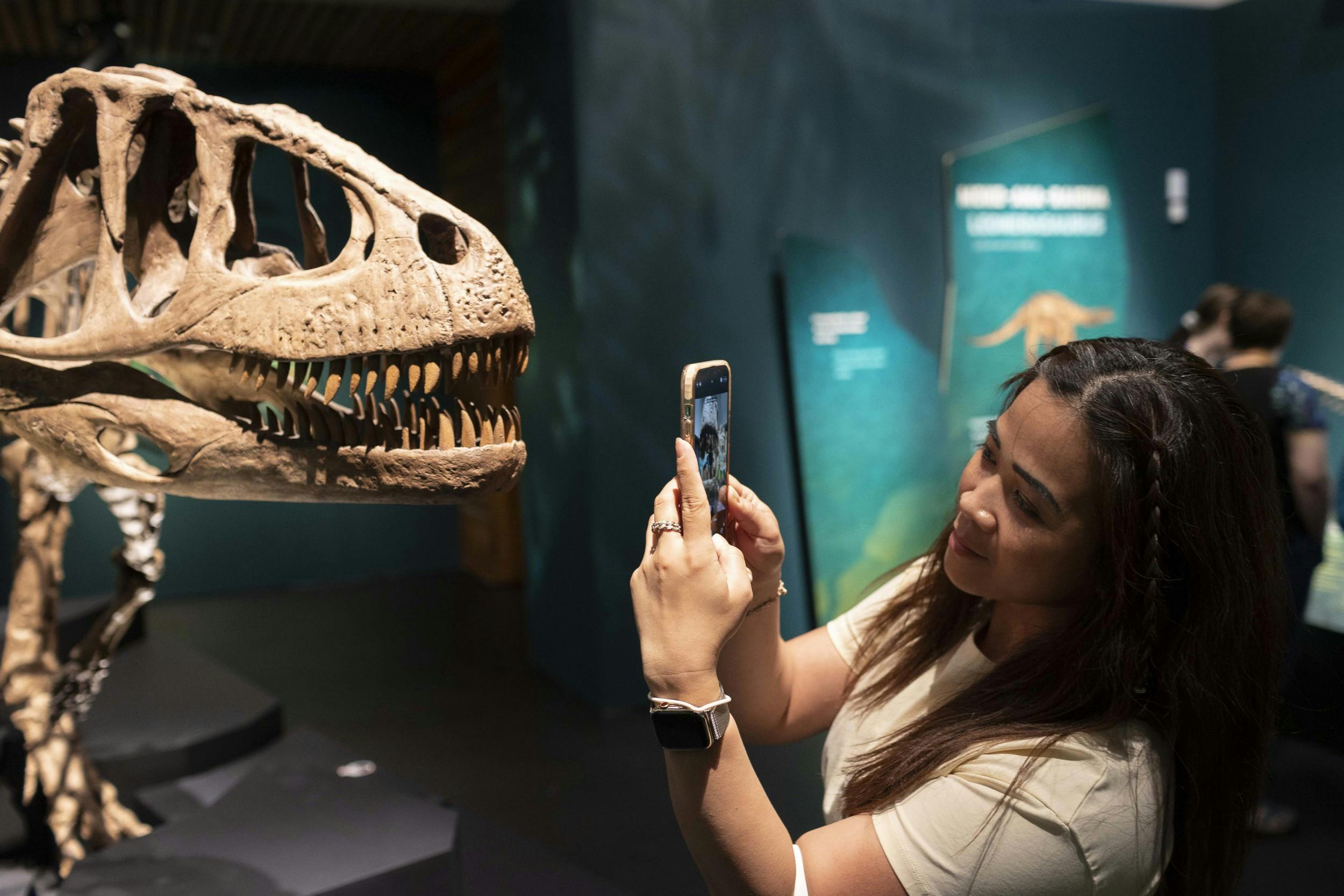 A girl holds a smartphone up to the sharp teeth of a dinosaur skeleton.