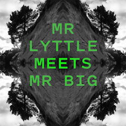 Promotional image for the 'Mr Lyttle Meets Mr Big' podcast. A moody black and white landscape is mirrored vertically and horizontally, creating a rorschach like effect with the name of the podcast in a vibrant green overlaid.