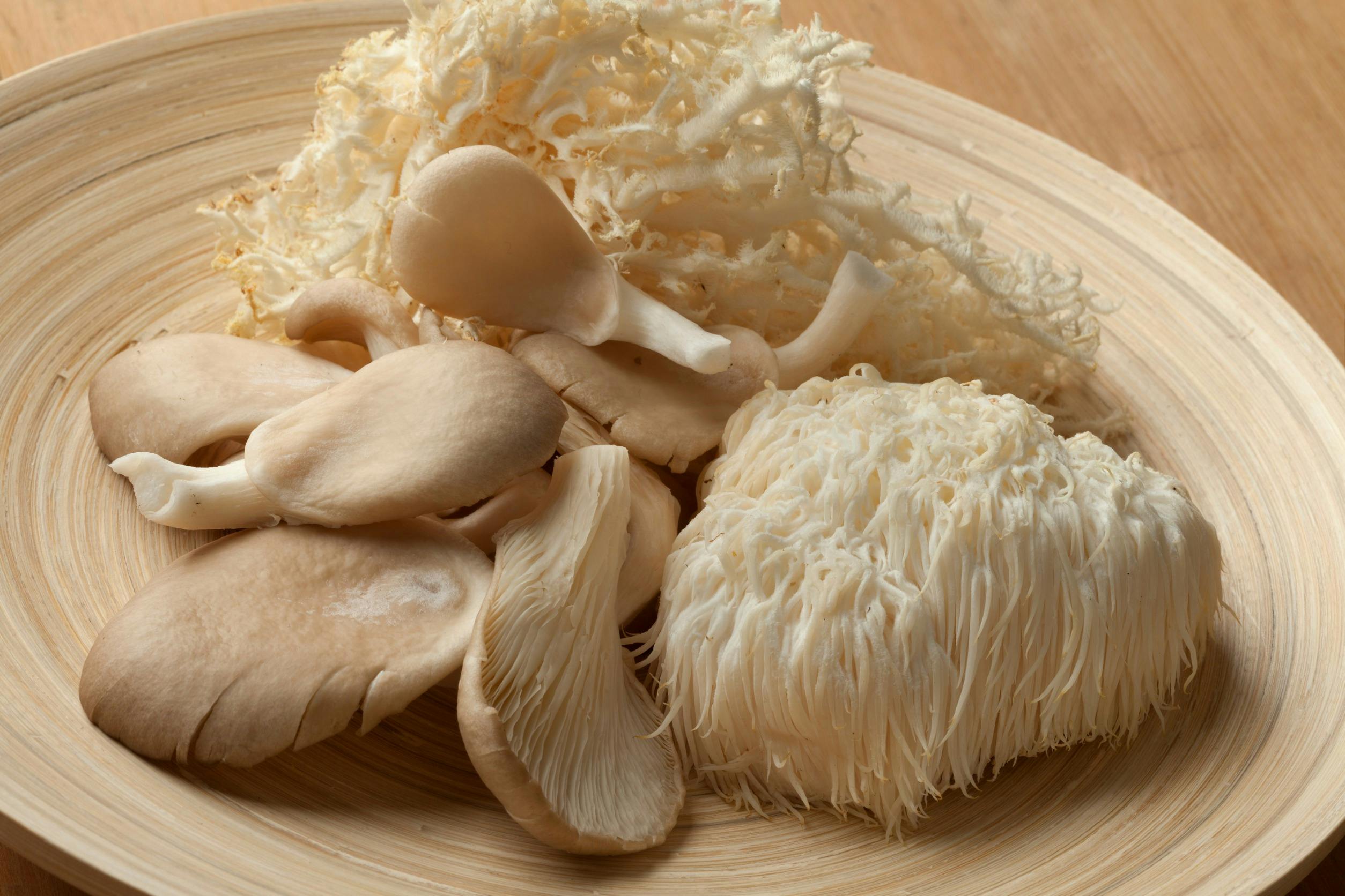 Bowl of assorted types of mushrooms