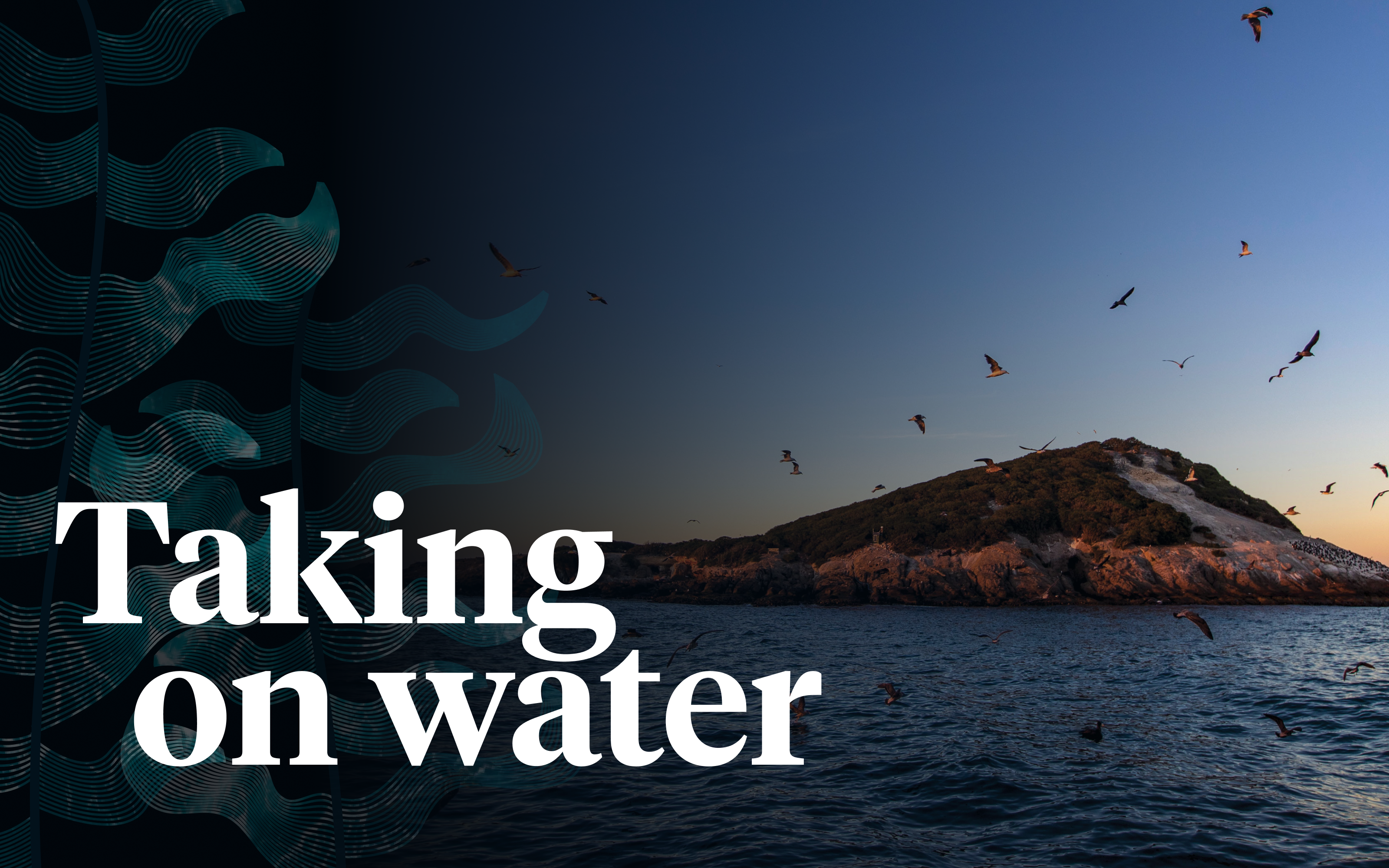 An image of an island with lots of birds flying around it behind a stylised kelp illustration