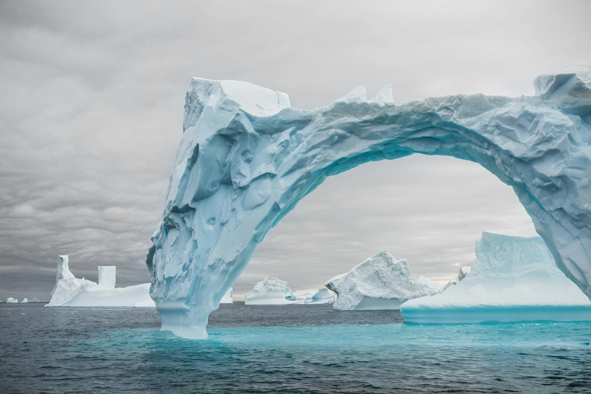 Iceberg Valentine