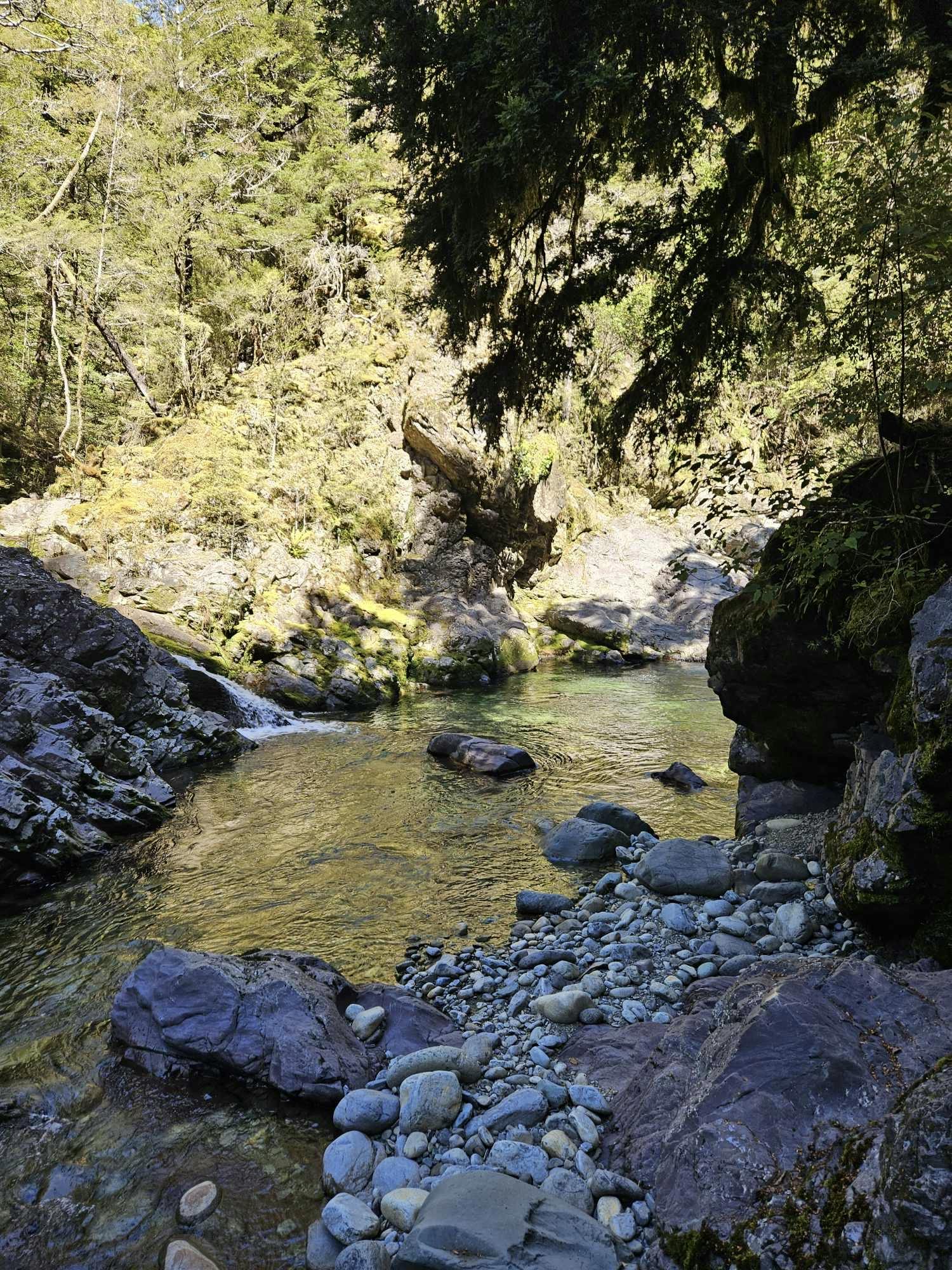 Single Use The Wairoa River