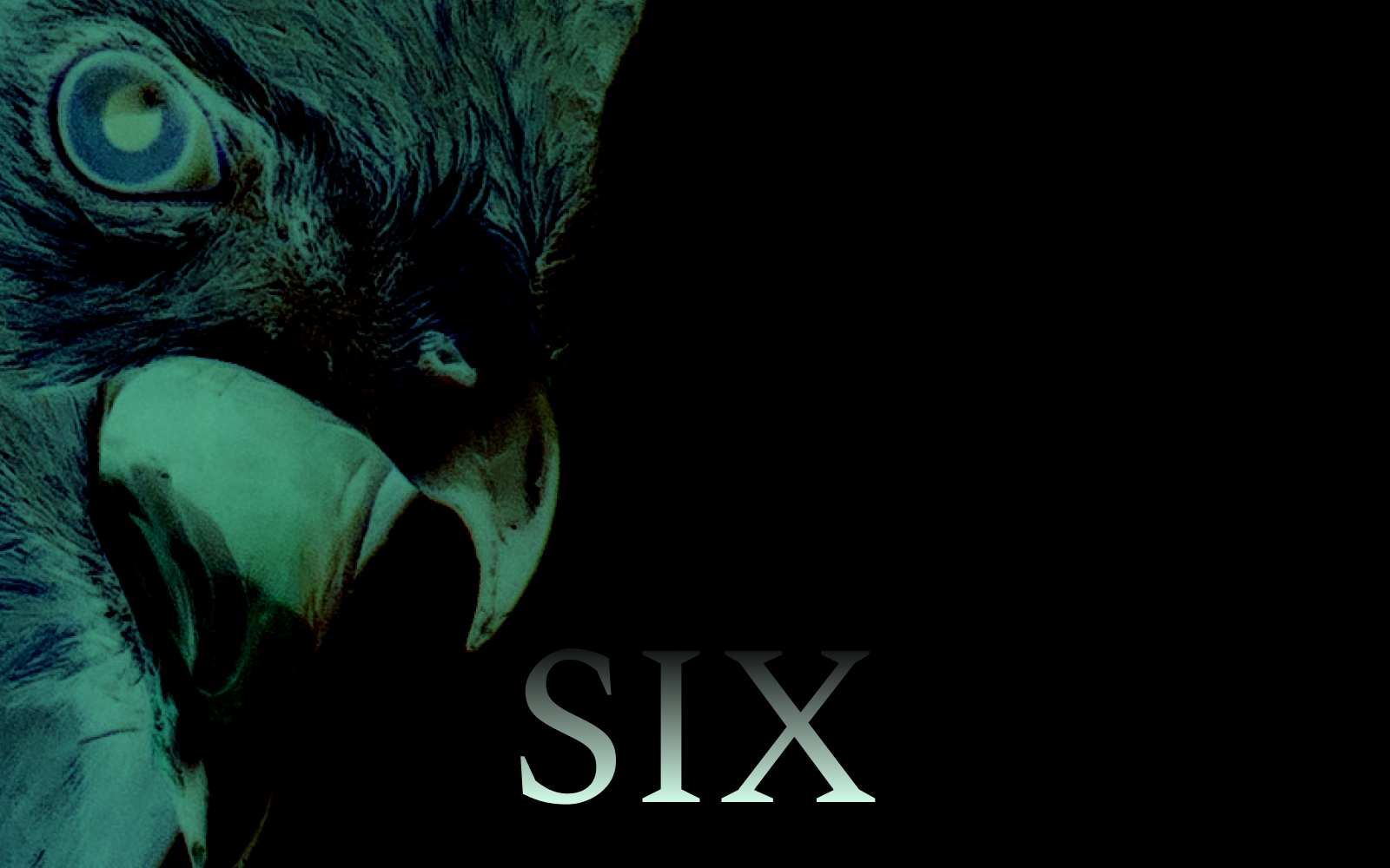 A hawk rendered in ghostly sickly green stares with it's pointed beak open, the word "Six" is imposed over the image.