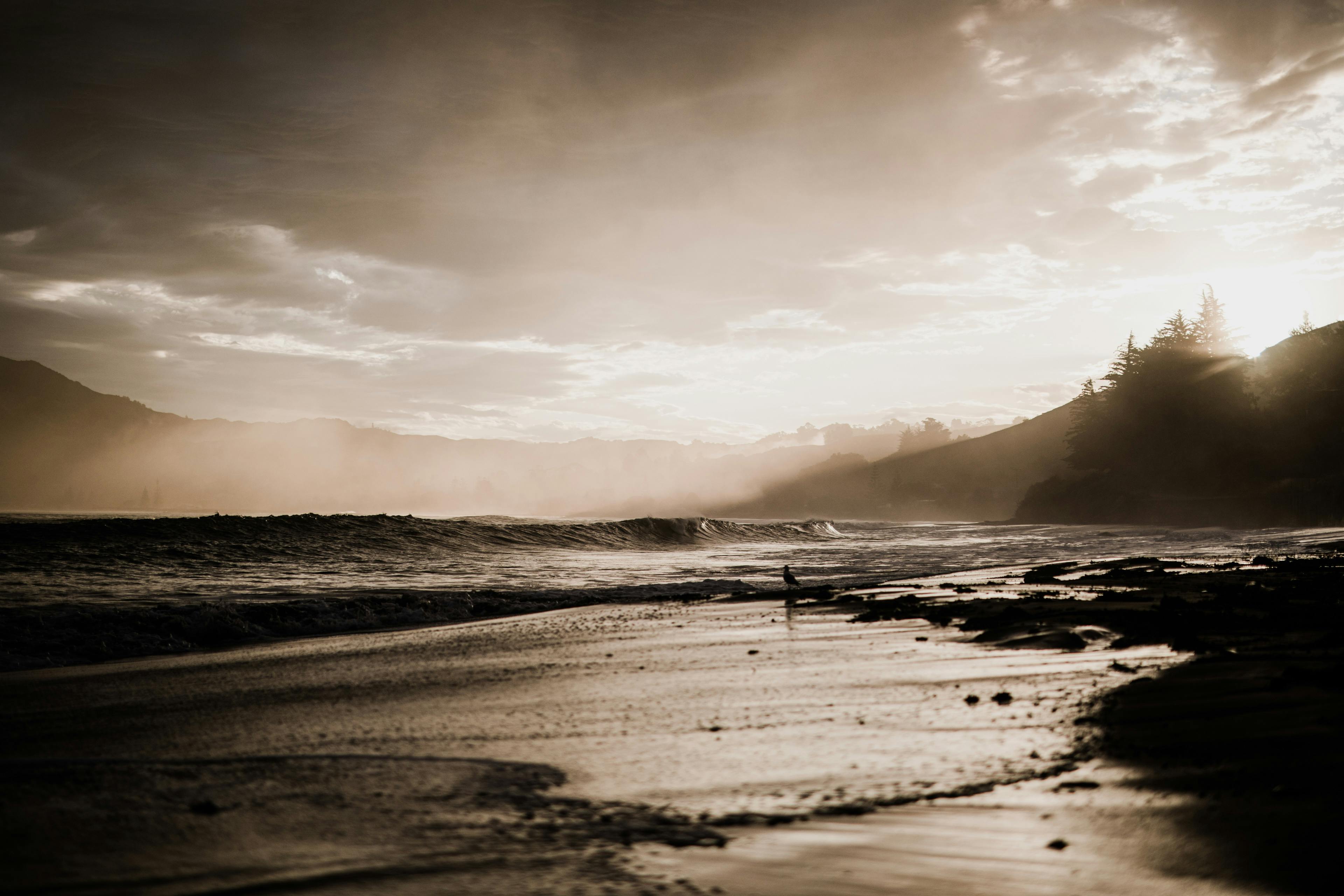 Tokomaru Bay