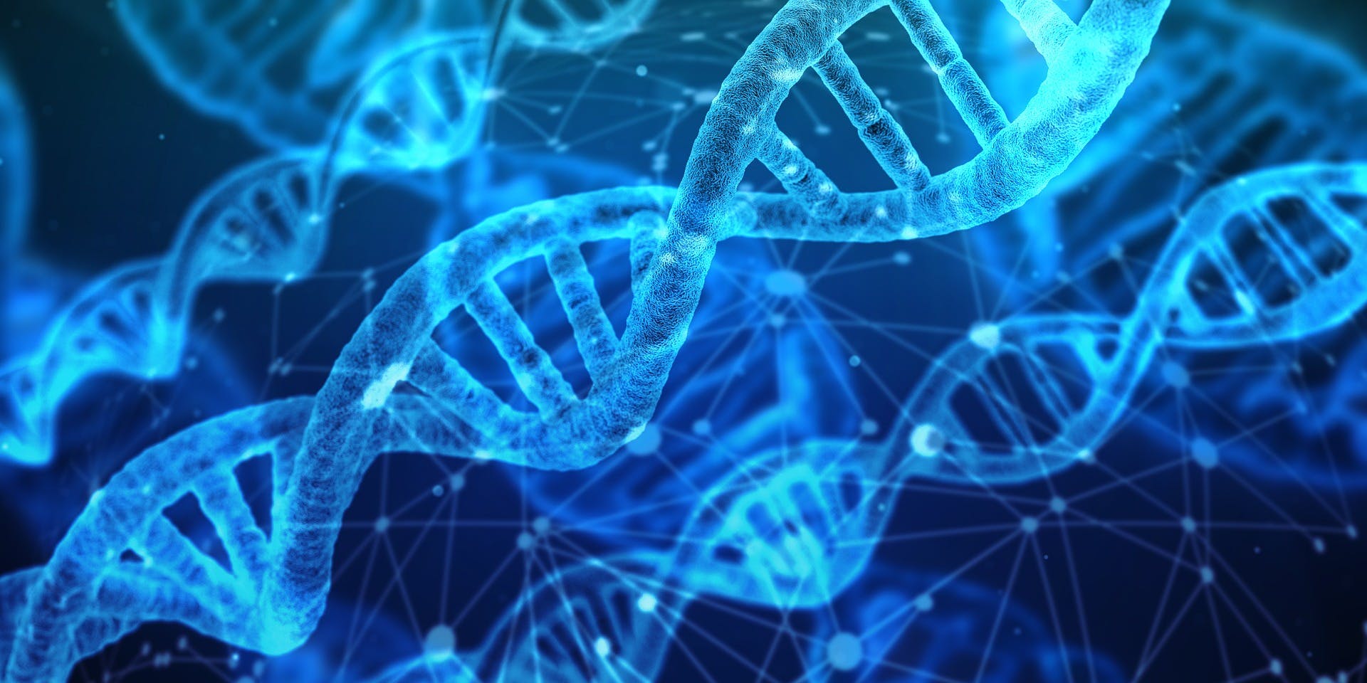 A digital rendering of DNA helix molecules, in a bright blue colour