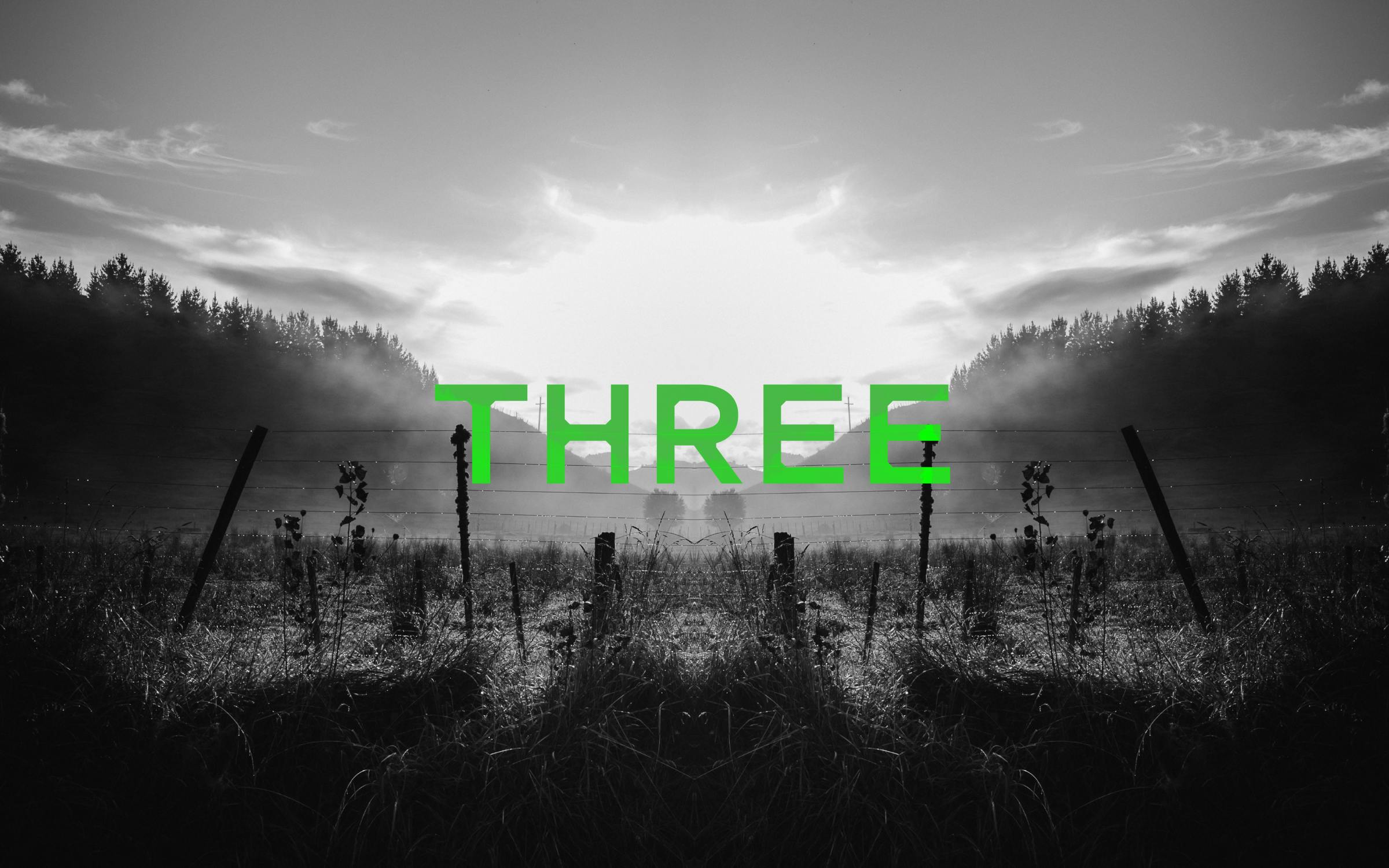 Podcast episode image for the 'Mr Lyttle Meets Mr Big' podcast. A moody black and white photograph of a misty farm fence is mirrored vertically creating a Rorschach like effect with the episode number 'THREE' overlaid in vibrant green.