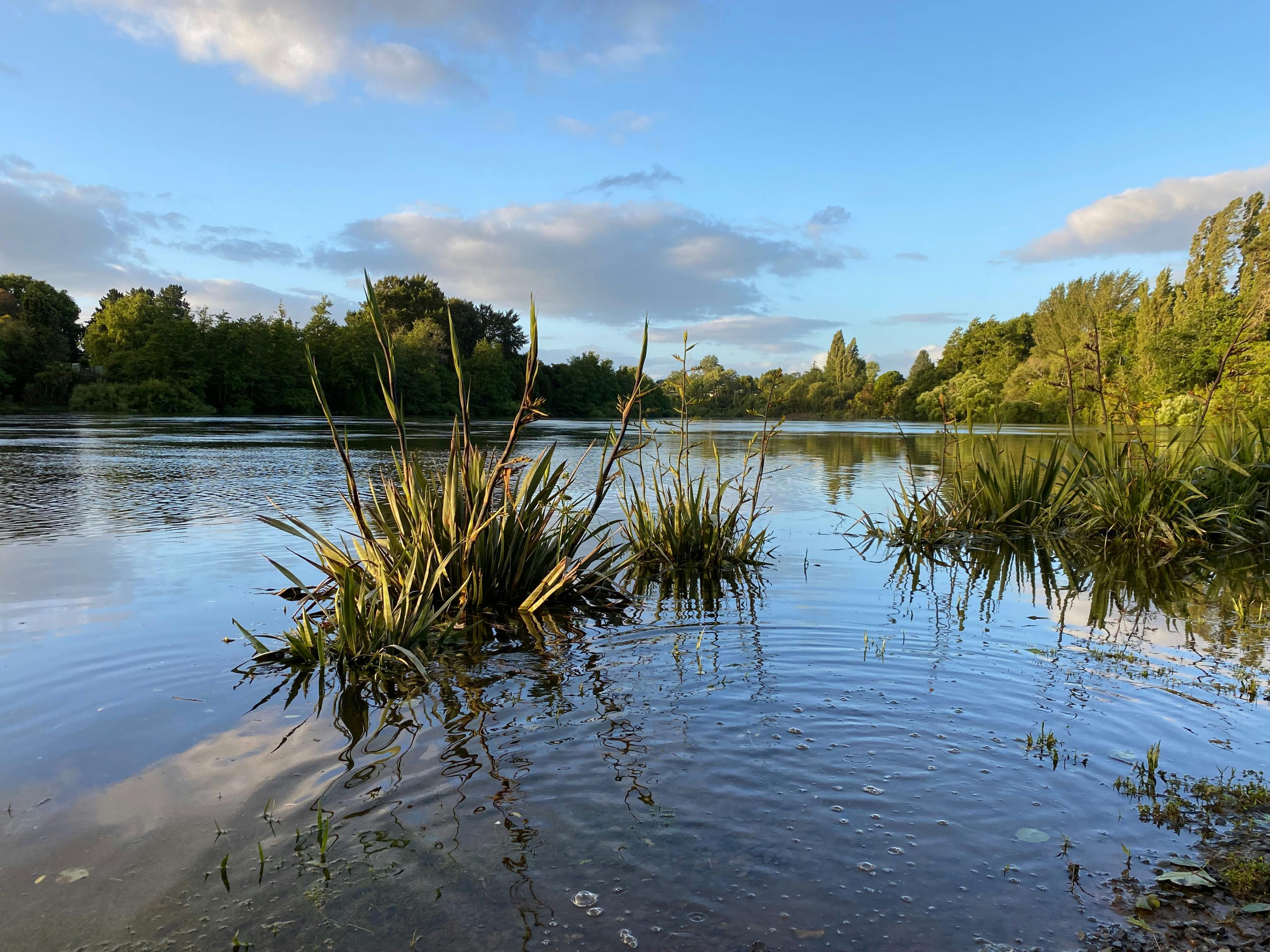 Waikato River