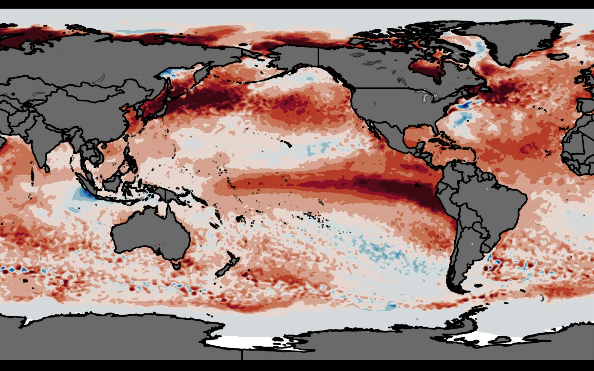 A world map centred on the Pacific Ocean. The ocean is coloured according to temperature, with blue representing cooler temperatures and red representing warmer temperatures. There is a large red blob extending across the Pacific Ocean from South America, but also lots of red everywhere.