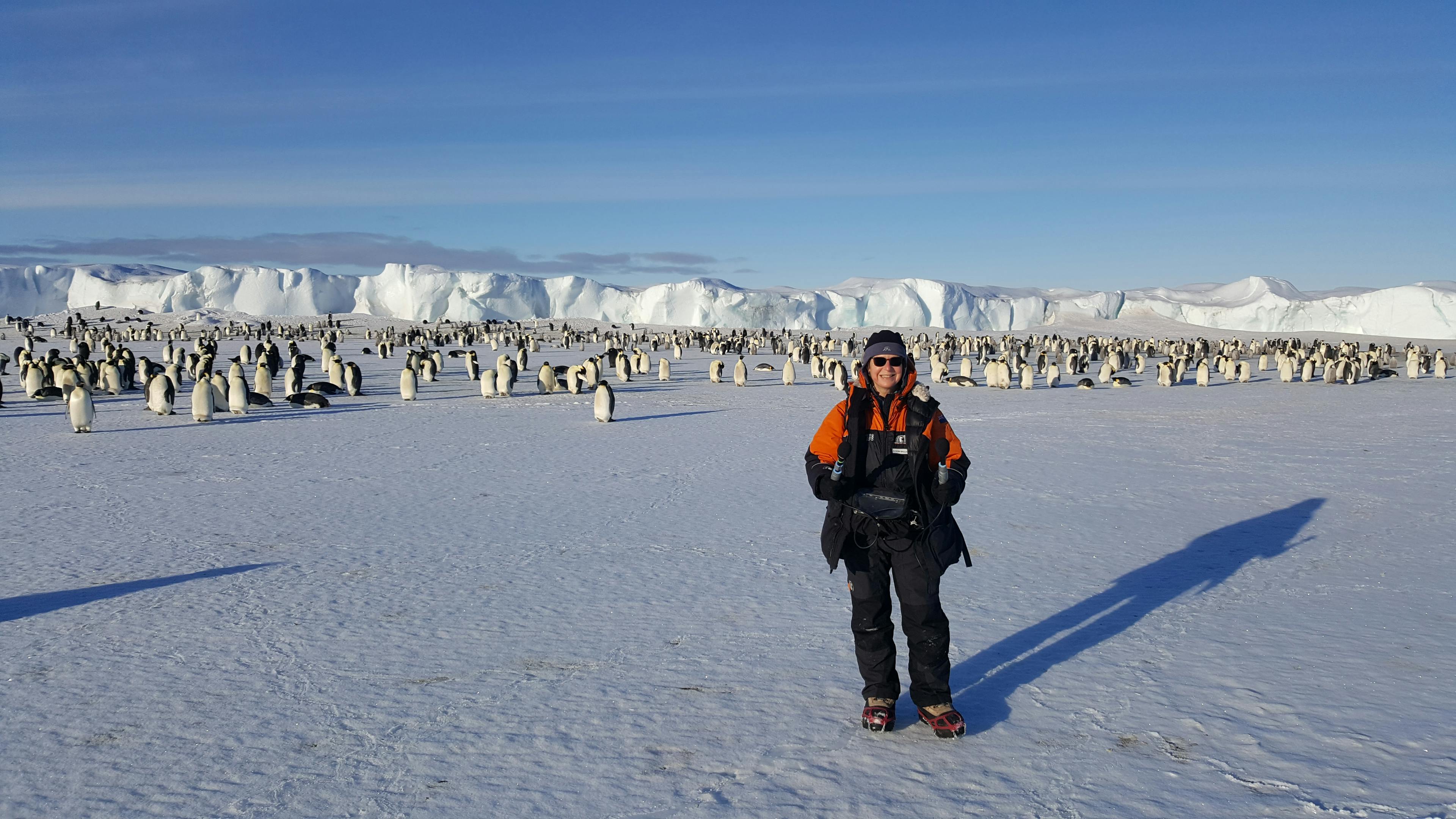 Producer Alison Ballance with the Emperor penguin colony at Cape Crozier, which was the subject of the book 'The worst journey in the world.'