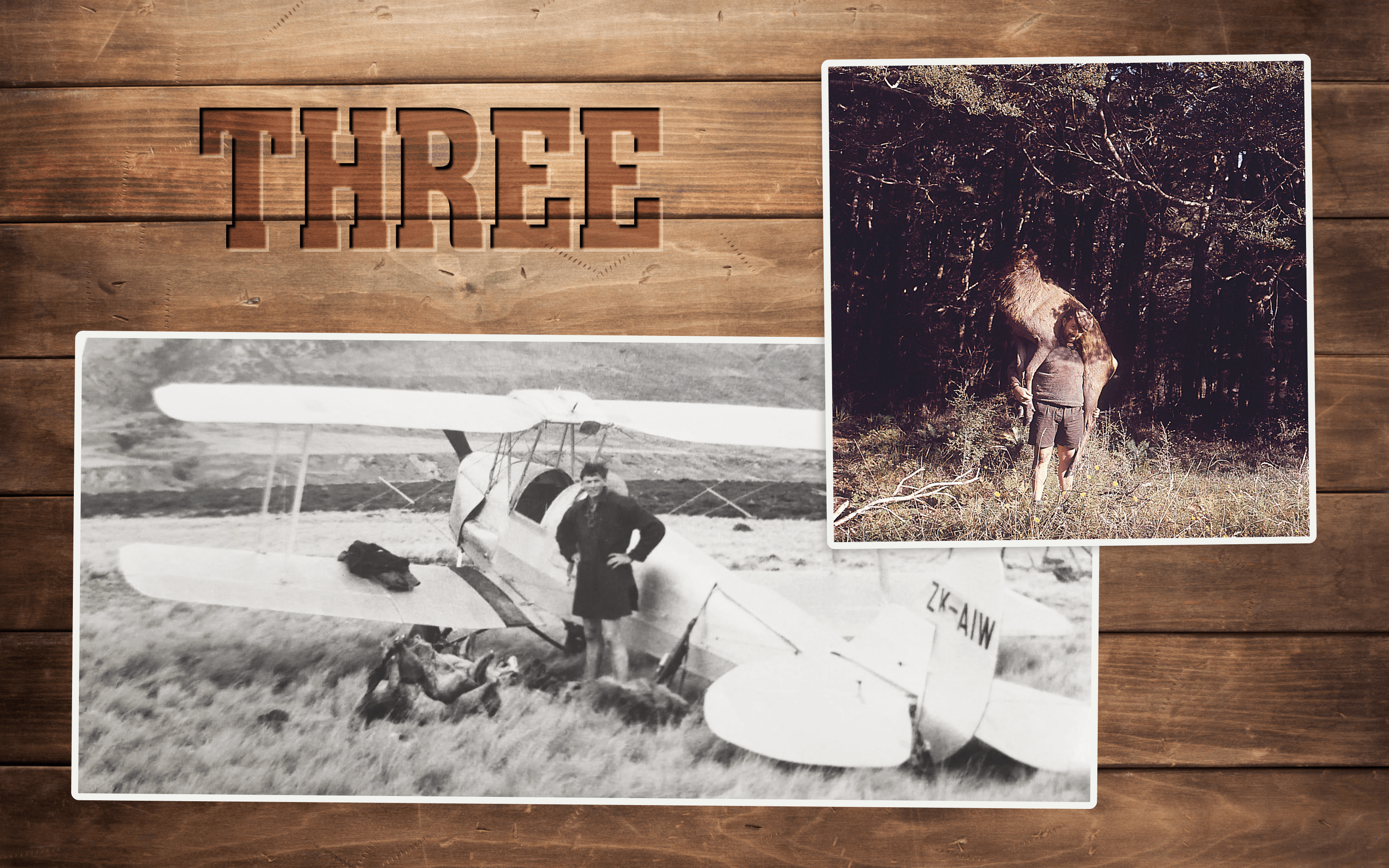 A timber wall reminiscent of a hunting hut has the word "three" stamped into it like a cattle brand. On the wall are two photos, one of a pilot stop next to a biplane and several deer carcasses, one of a hunter carrying a deer carcass over his shoulder.