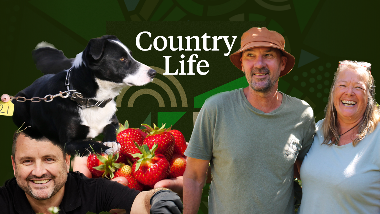 Summer Series: Country Life 23 December