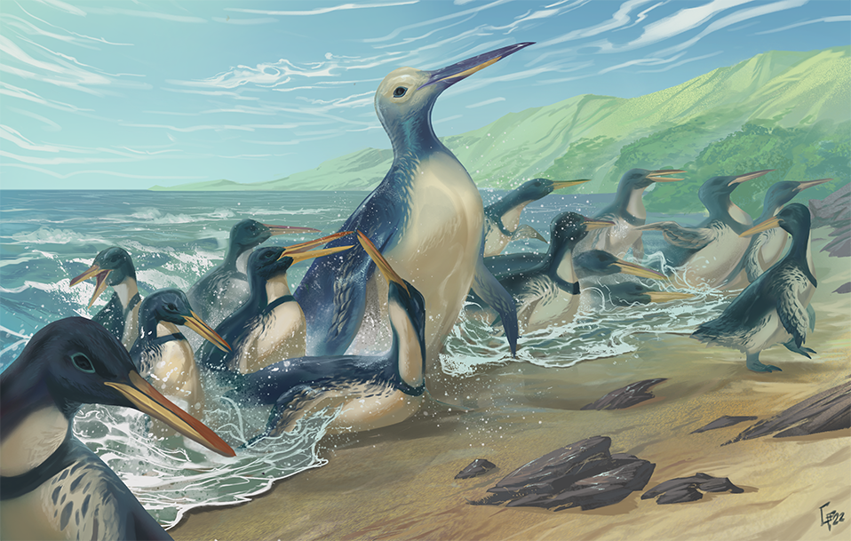 An illustration of a giant penguin with a long beak exiting the ocean onto a sandy beach. It is surrounded by smaller penguins, also with long beaks.