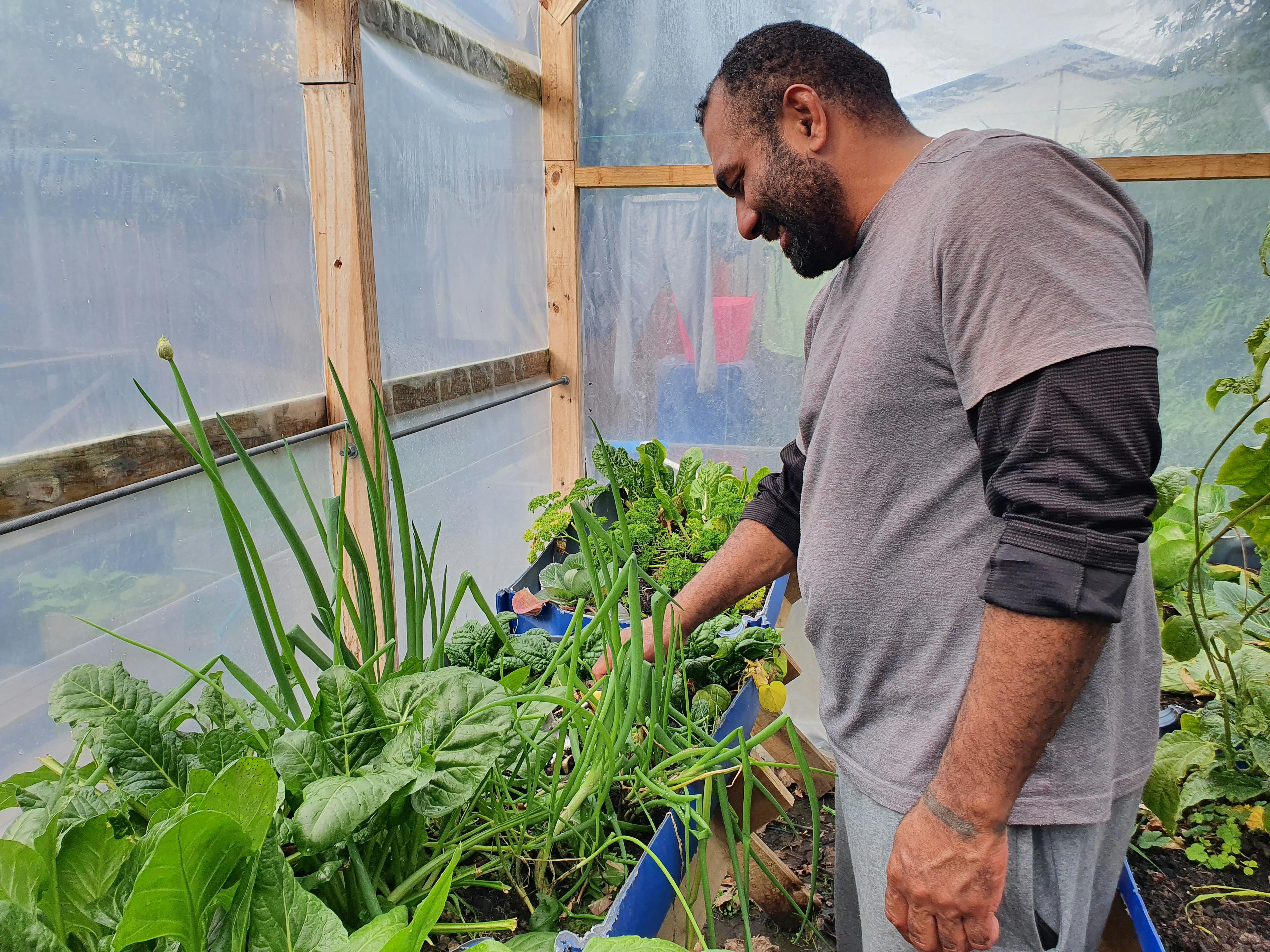 Mosese Vilivilioyawa checks his crops.