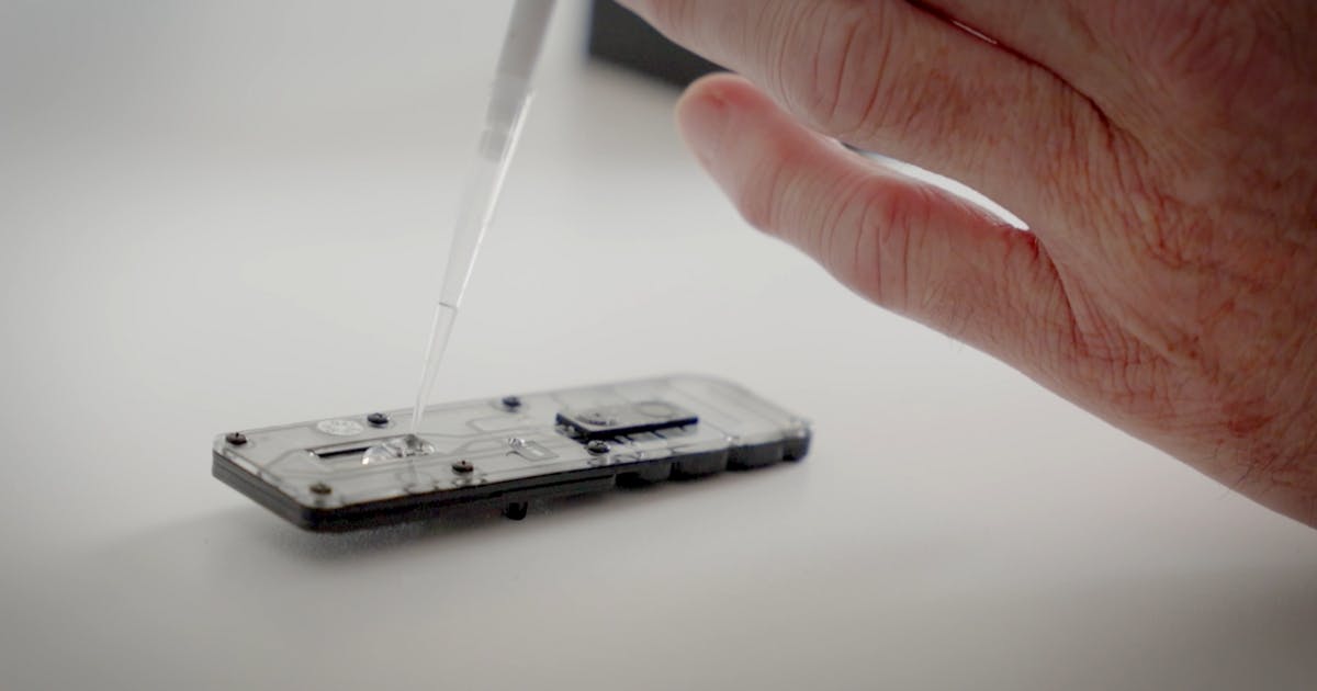 A close up of a hand manoeuvring a pipette and dropping a clear liquid onto a plastic rectangular device .