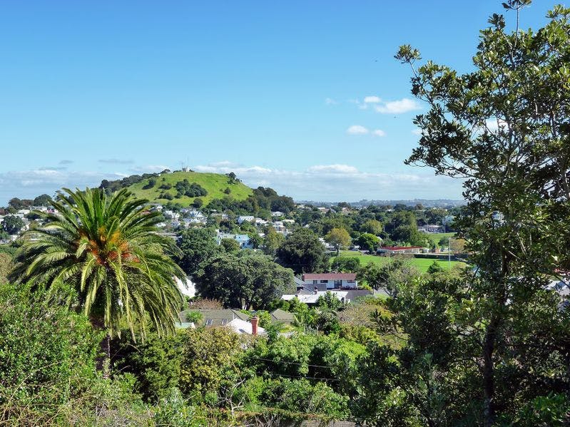 The aim is to rid the entire Devonport peninsula of predators, said Maggie Barry.