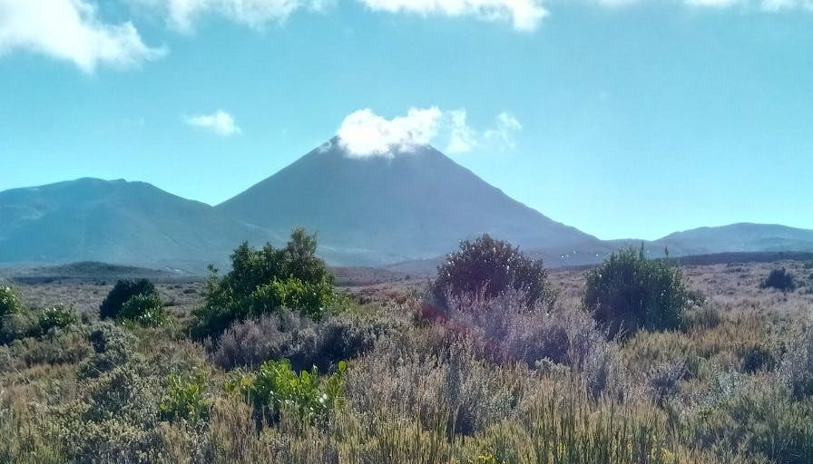 Tongariro looms large