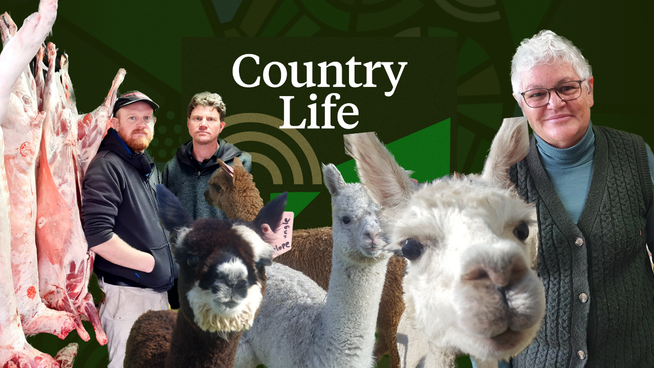 Summer Series: Country Life 30 December