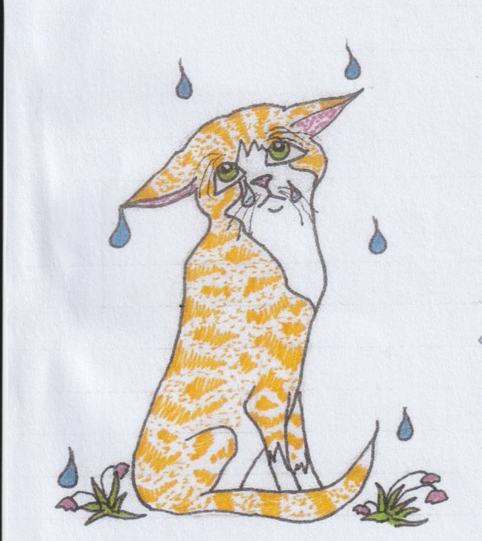 A drawing done by Peter Ellis of a tabby ginger cat in the rain