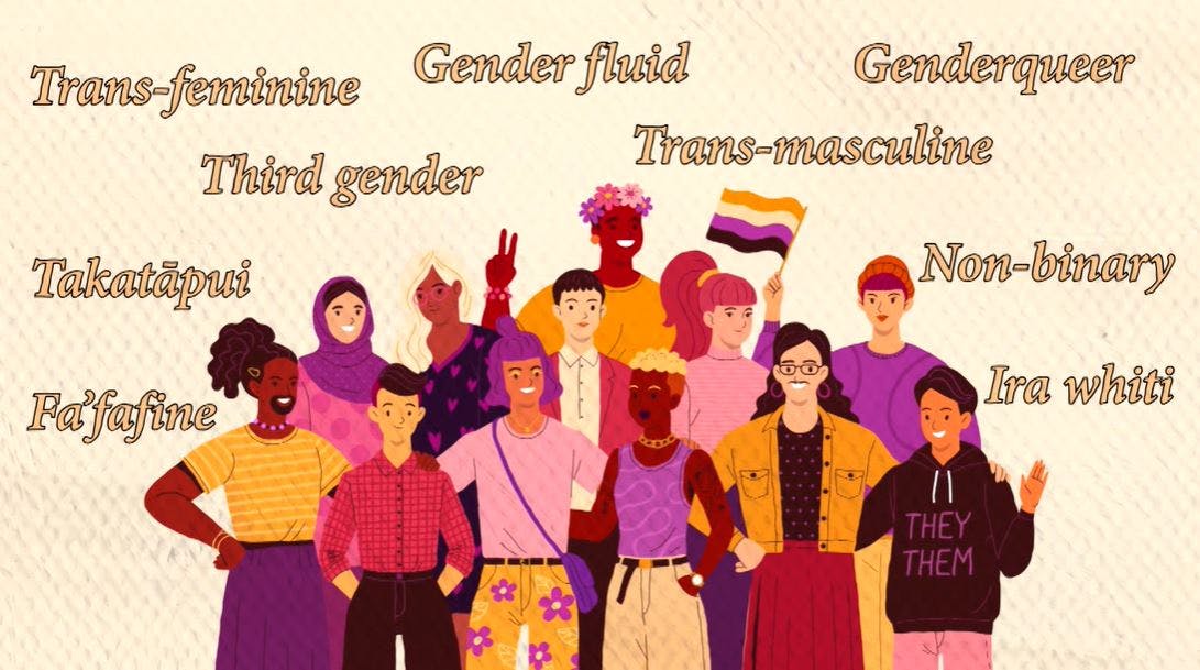 Gender and pronouns