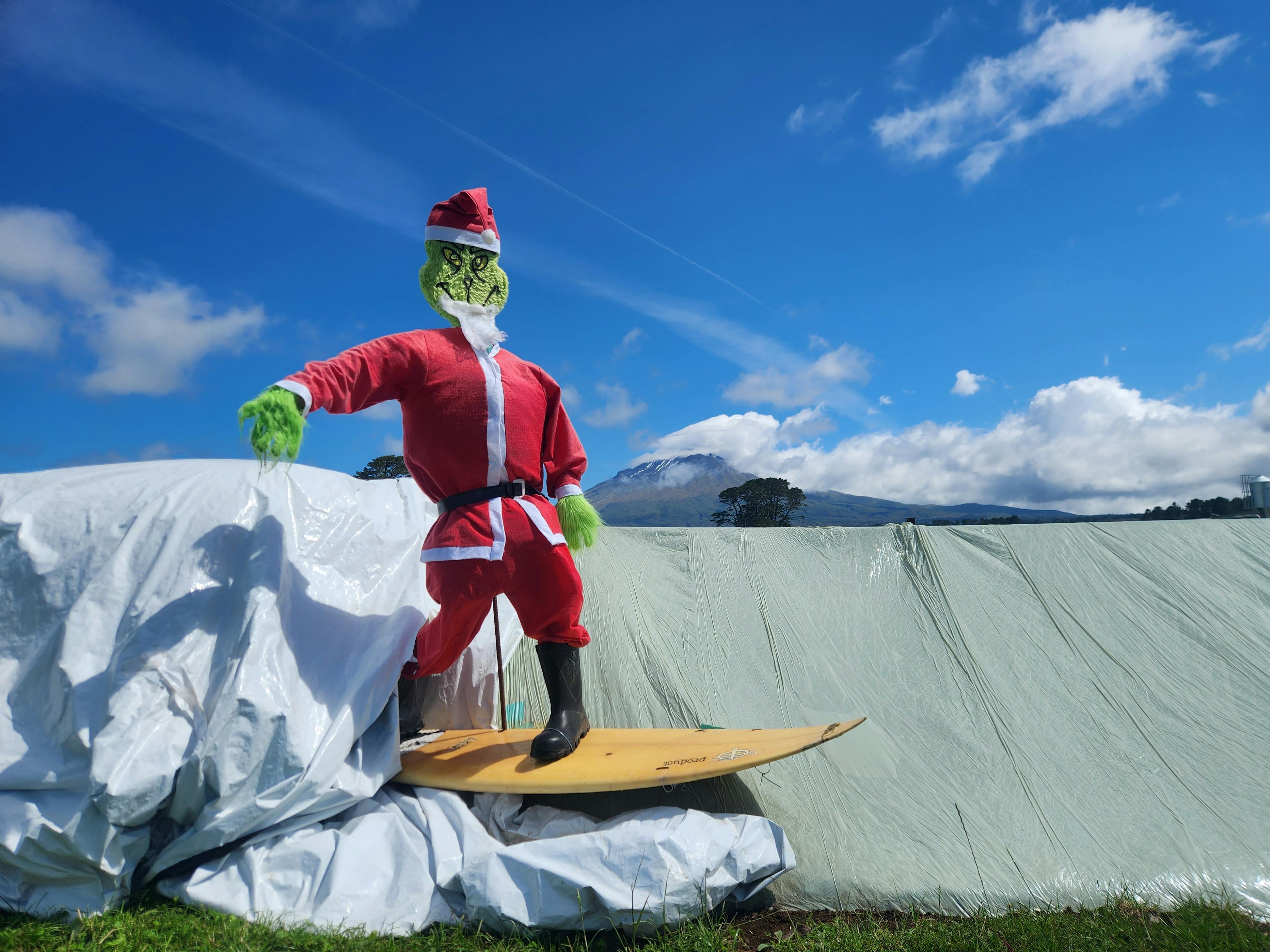 The Grinch surfing through the paddocks in Taranaki.